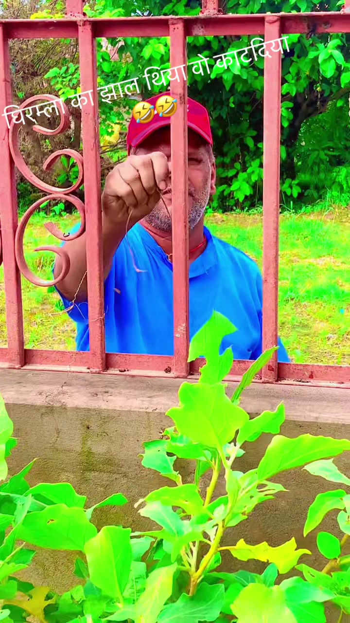 @Raj bhandari