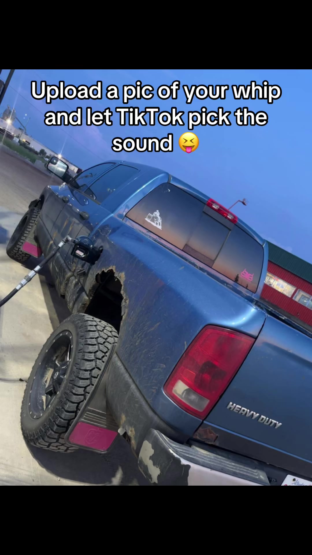 @kaylynn