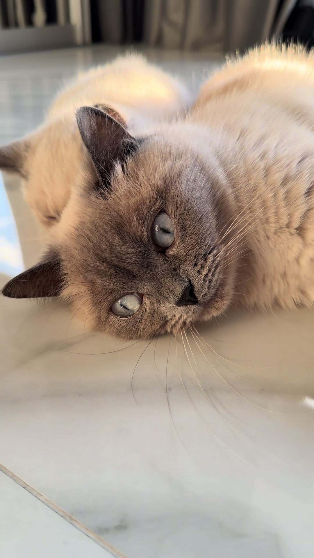 @Трускавецька киця 😻