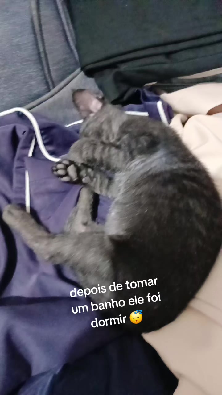 @paula🐱