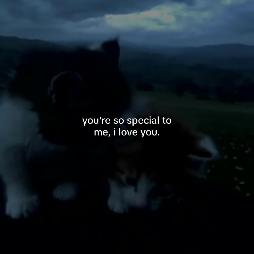 @.
