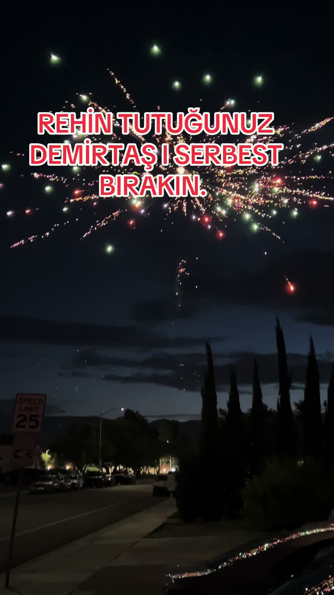 @Barut Demirbilek