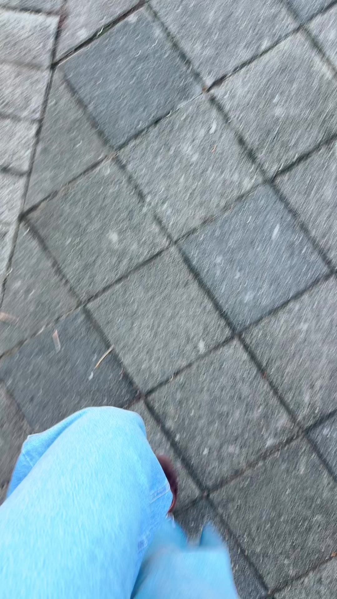 @sonaaaaaa_0