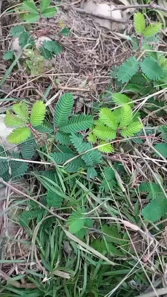@Prakriti Magar