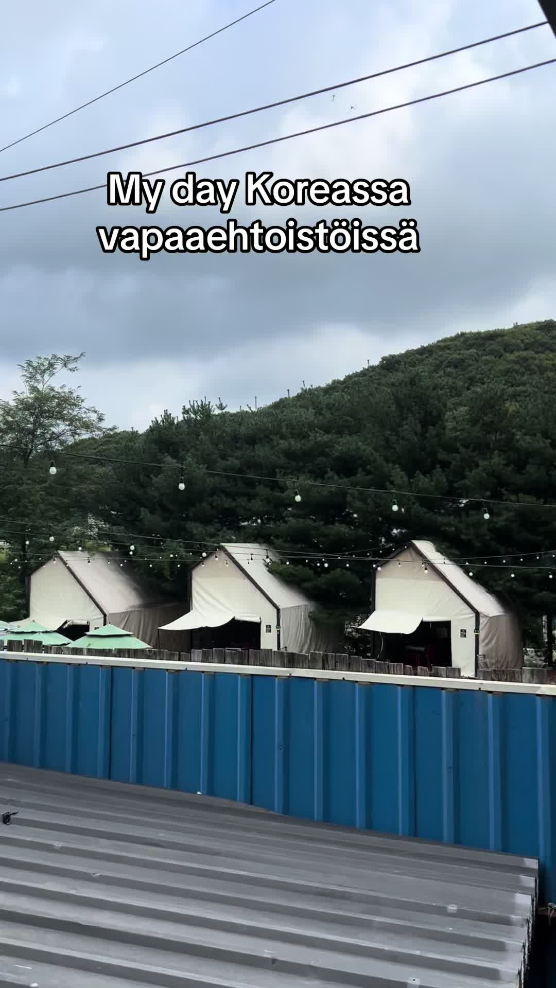 @elsi