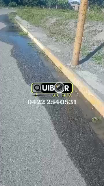 @Quiboraldia