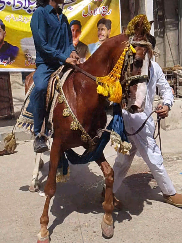 @subhan rajpoot 5