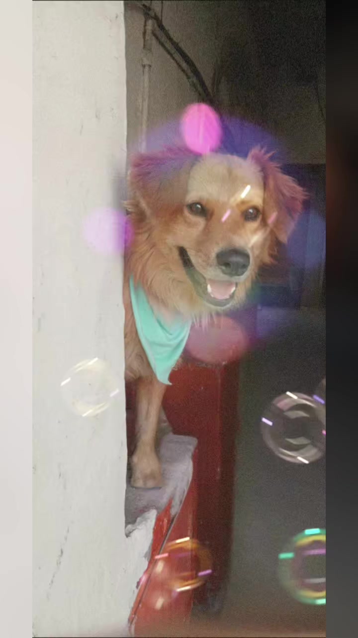 @Magui Tapia ✨️