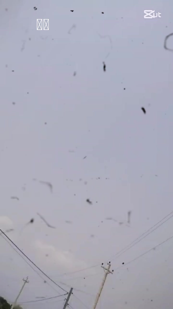 @सिर्जना दियाली ❤️❤️
