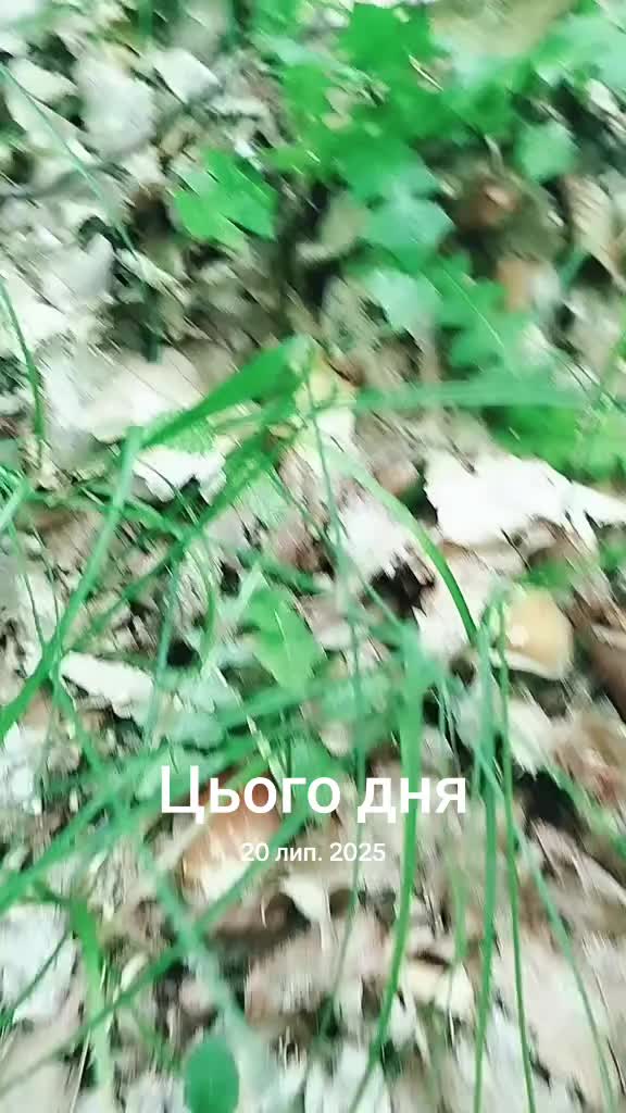 @Ірка-Зефірка