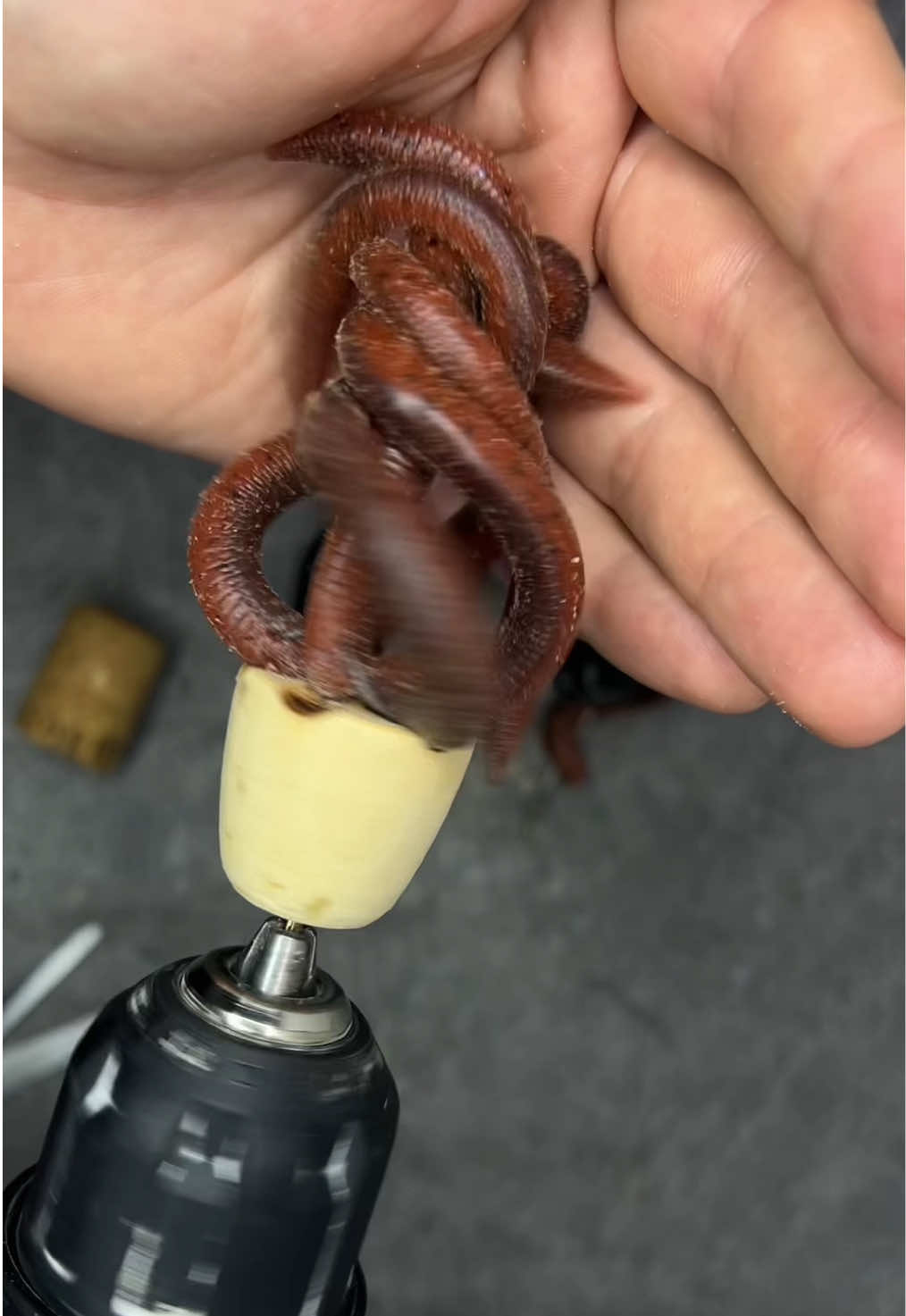 @itopFishing