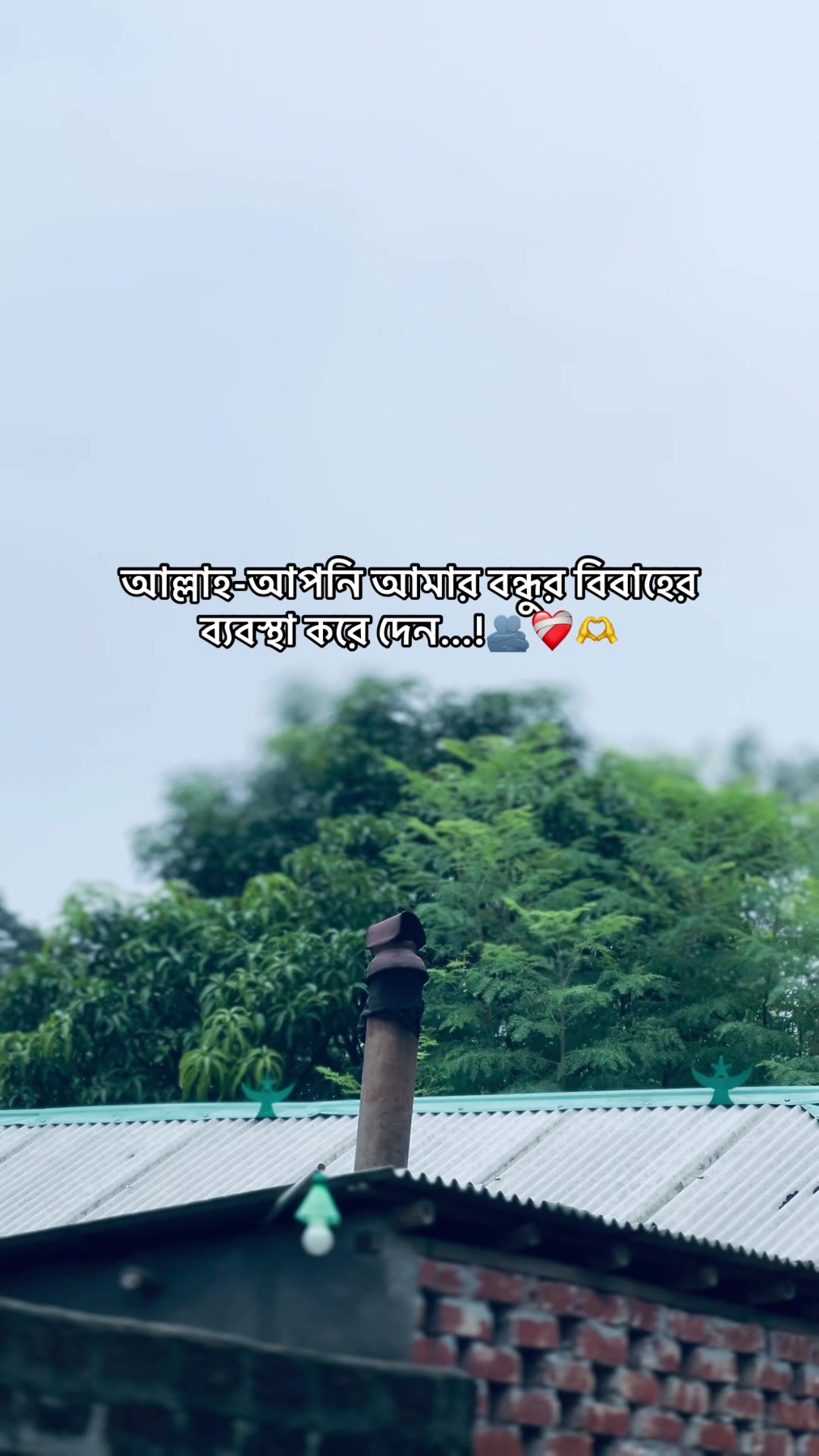 @BD_(ভন্ড)_ jihad🕊️