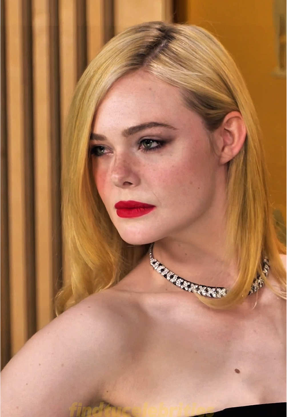 @findtucelebrities