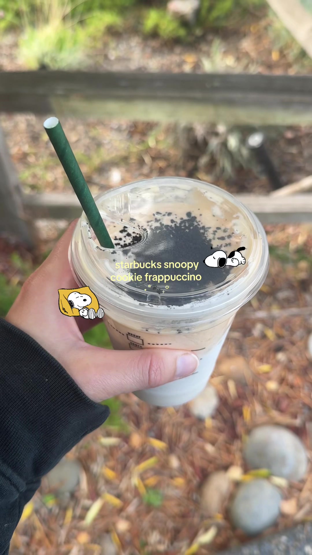 @𖦹 logan's lately ✩
