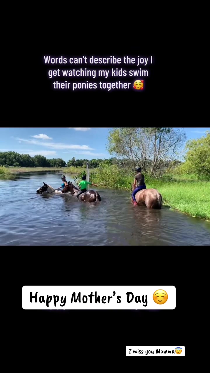 @jesswithallheranimals