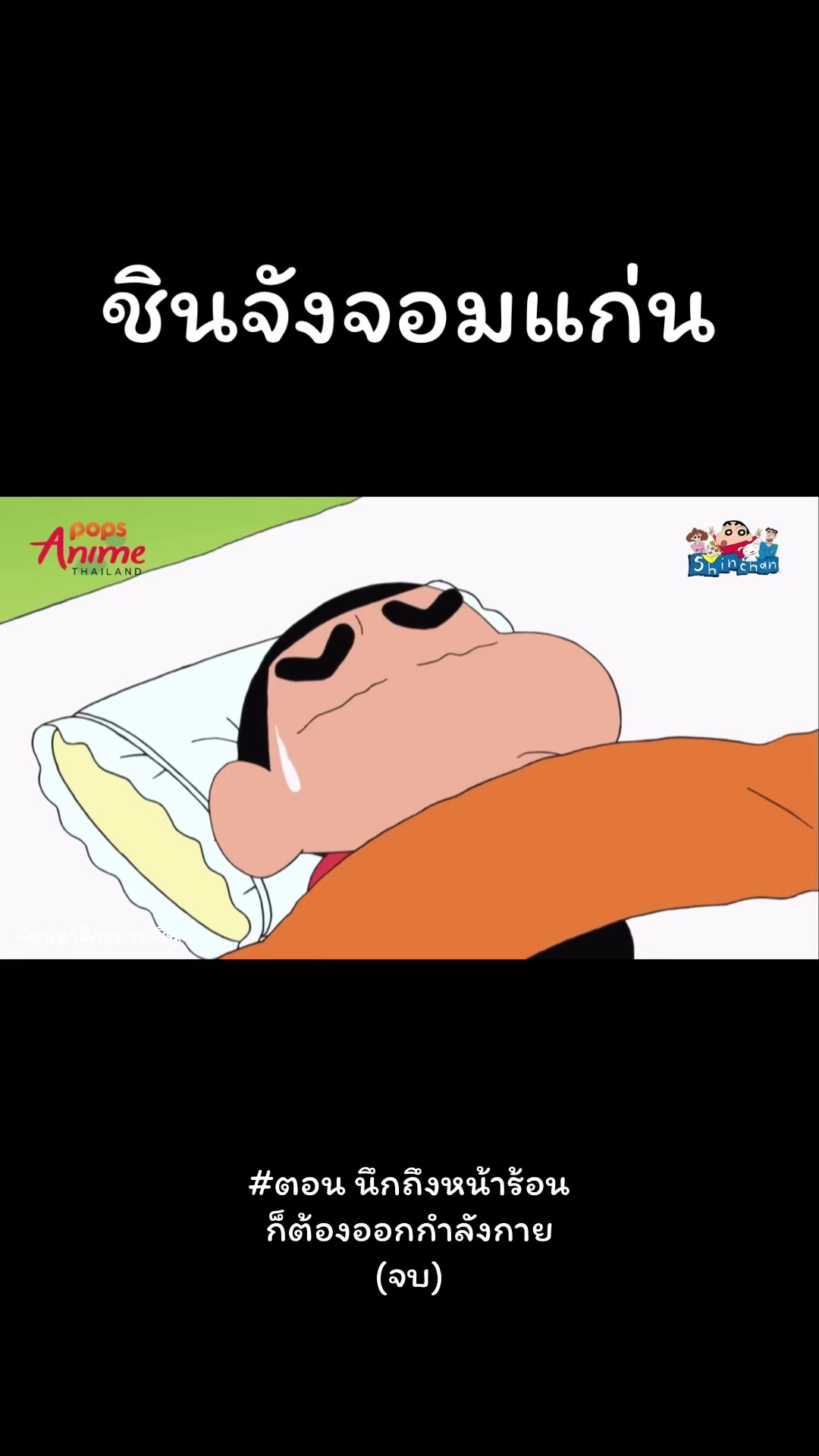 @~อาณาจักรท่านชิน~