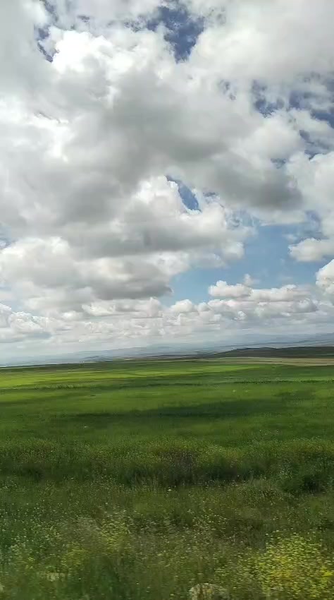 @🌹Sivas 🌹gülü 🌹