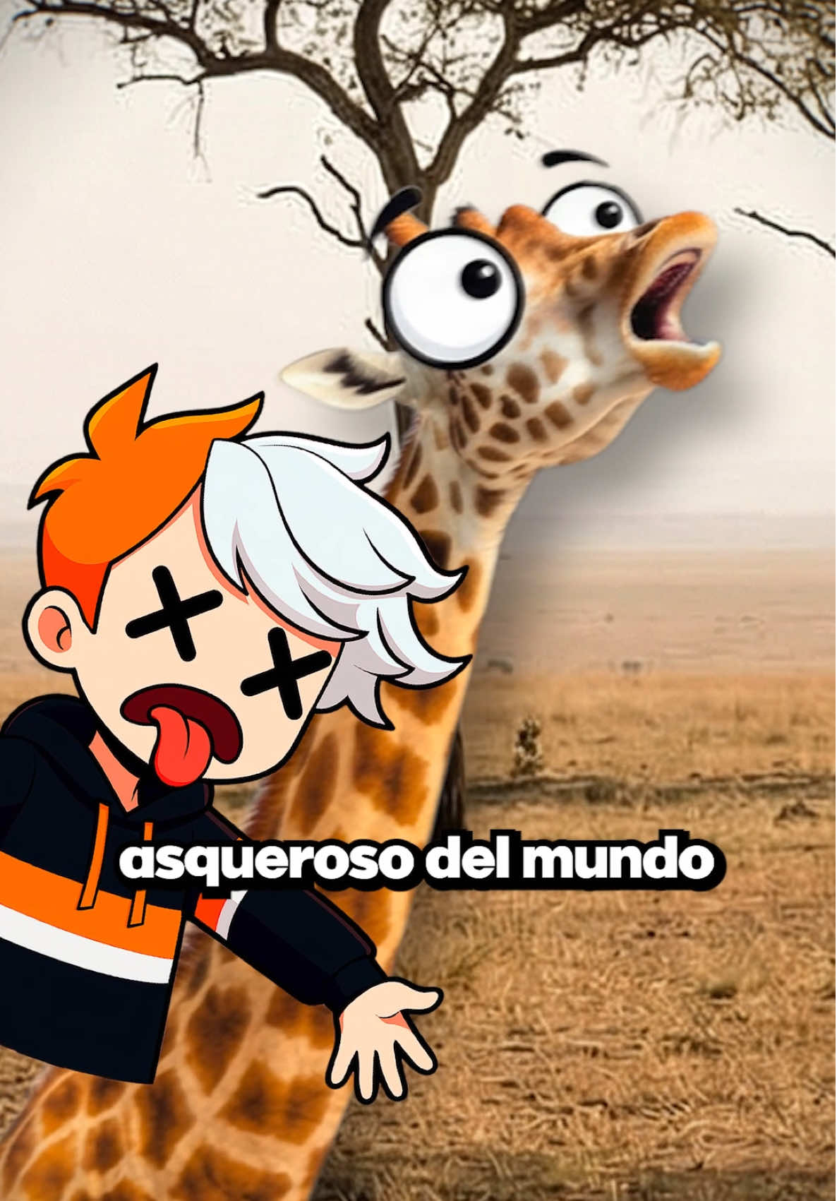 @GabSolf