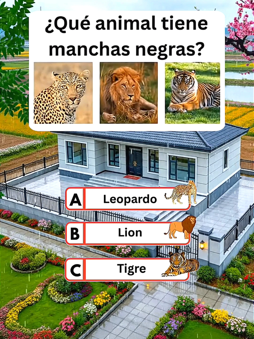 @⭐ triviador