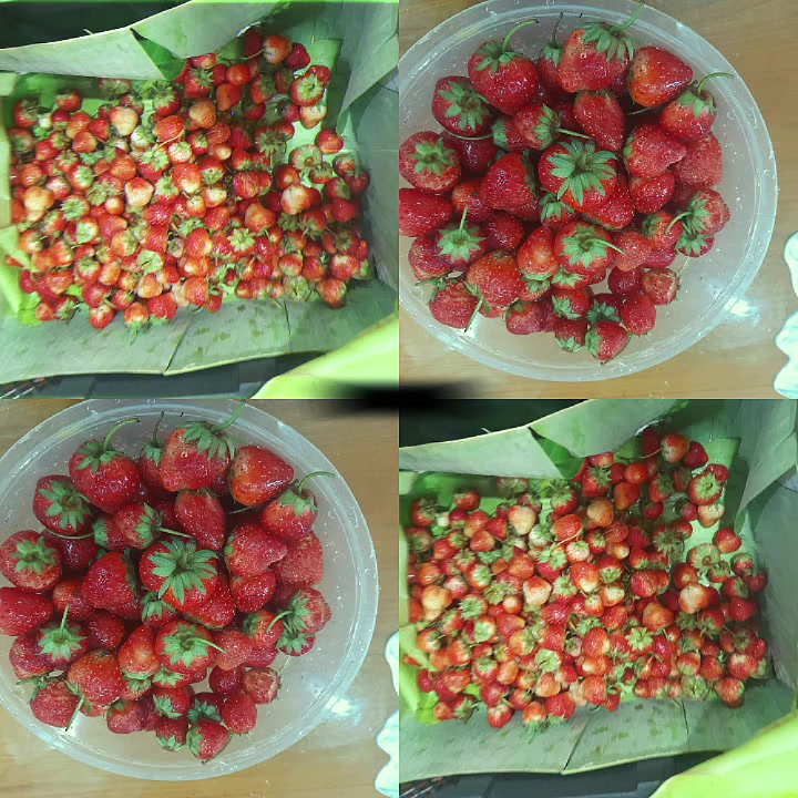 @P🍒