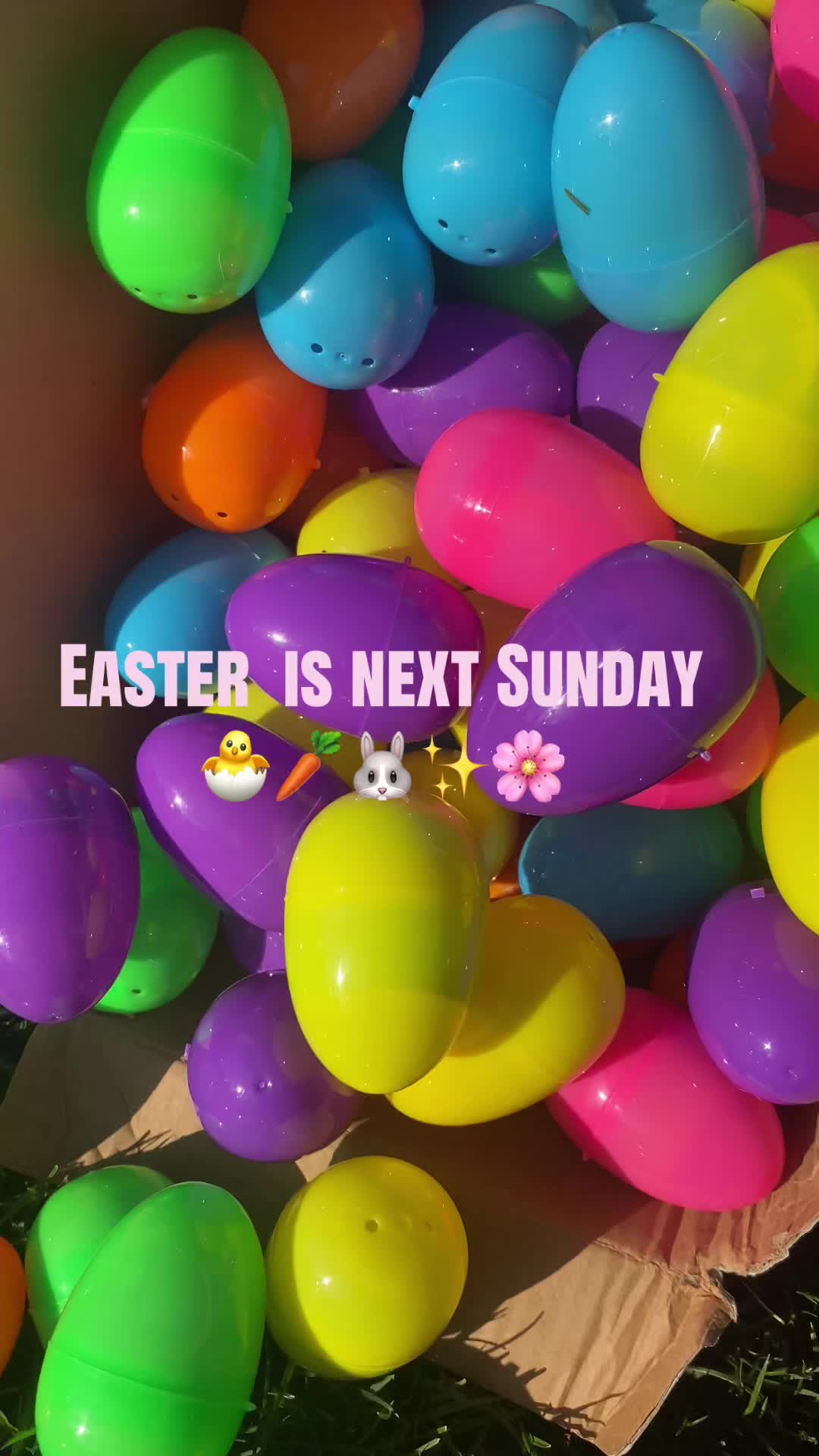 @_Jazzy_xoxo
