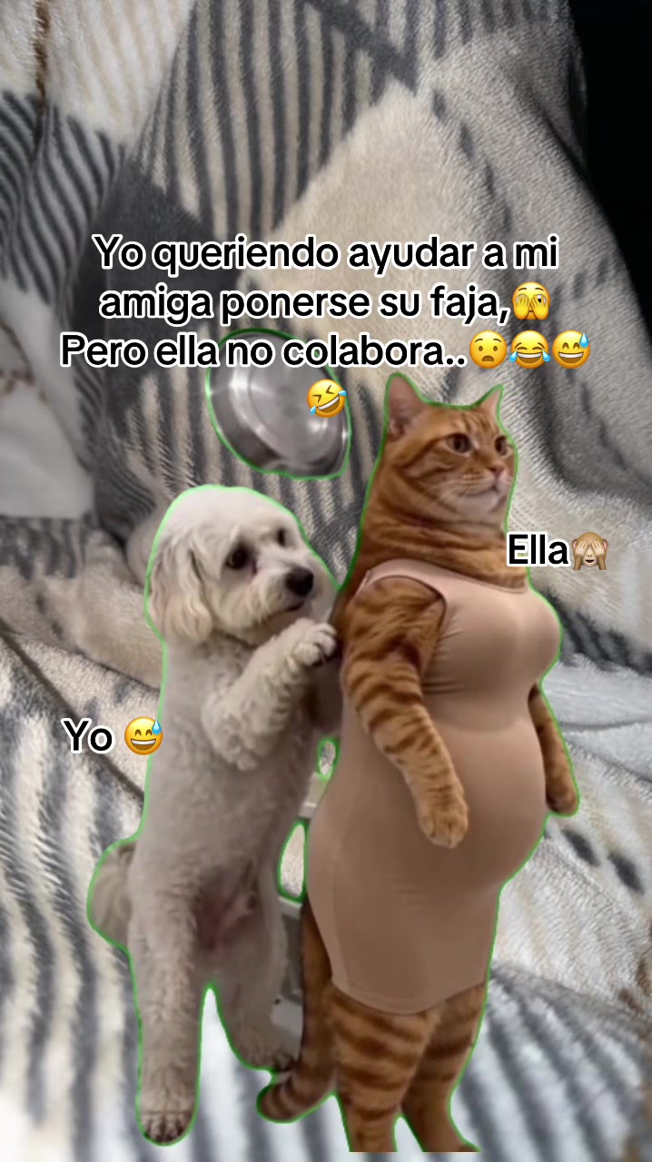 @La&ensp;Chaparritafiufiu❤️🔥