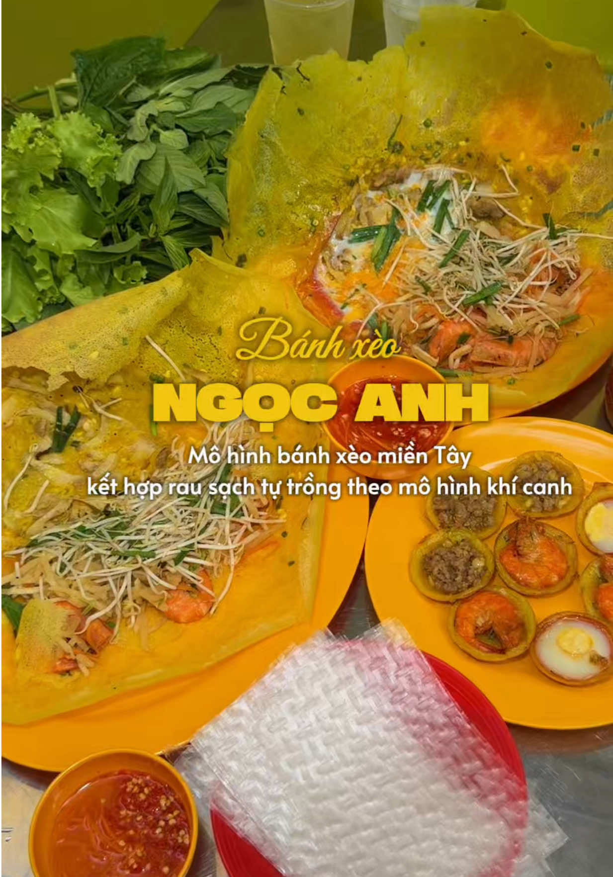 @Rùa Linh Cảm 🐢