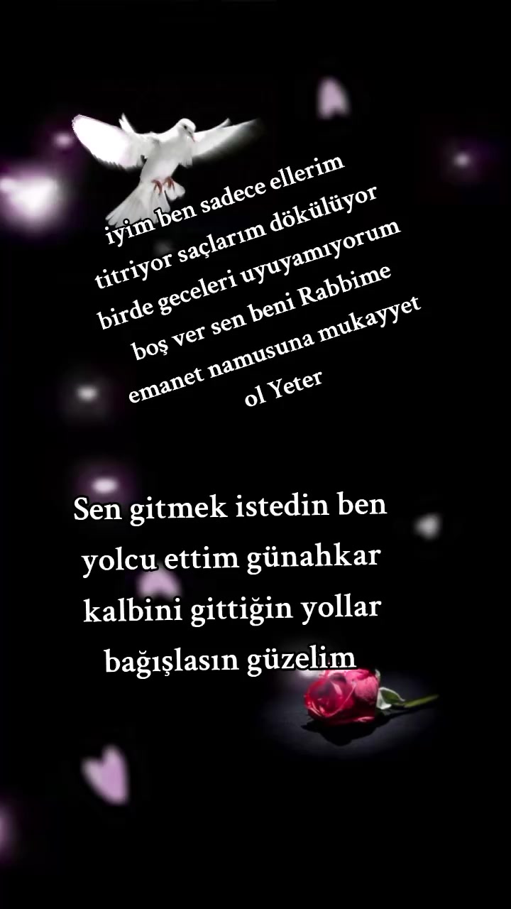 @๐น๐ท. YALINIZ ADAM ๐น๐ท