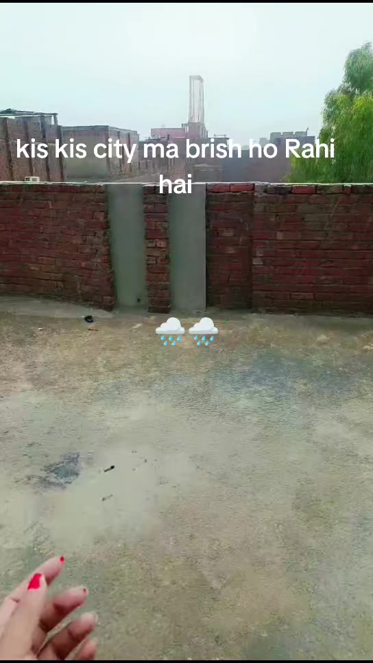 @hadiamehar28