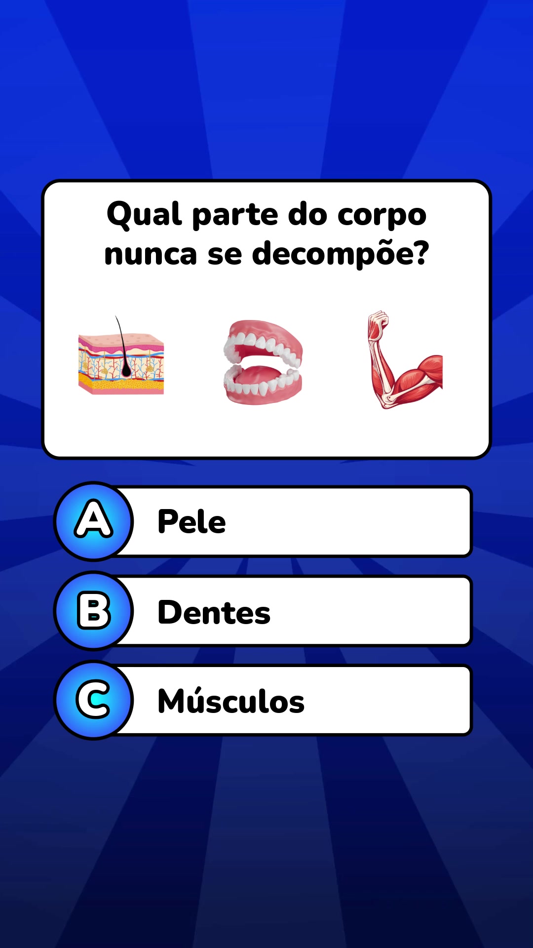 @Quiz Lev