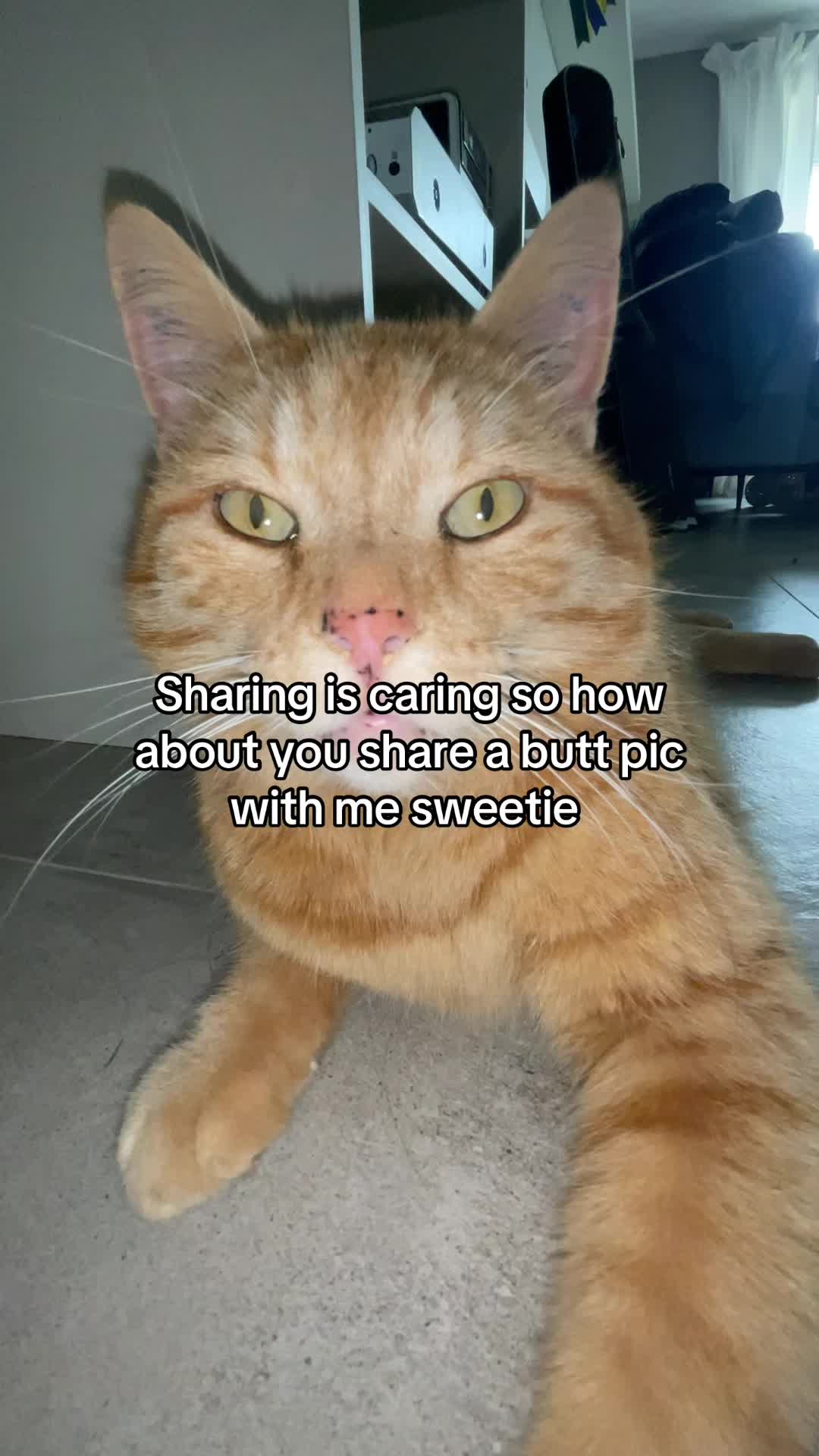 @Simba