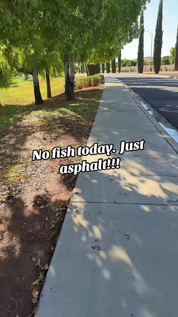 @drtammi