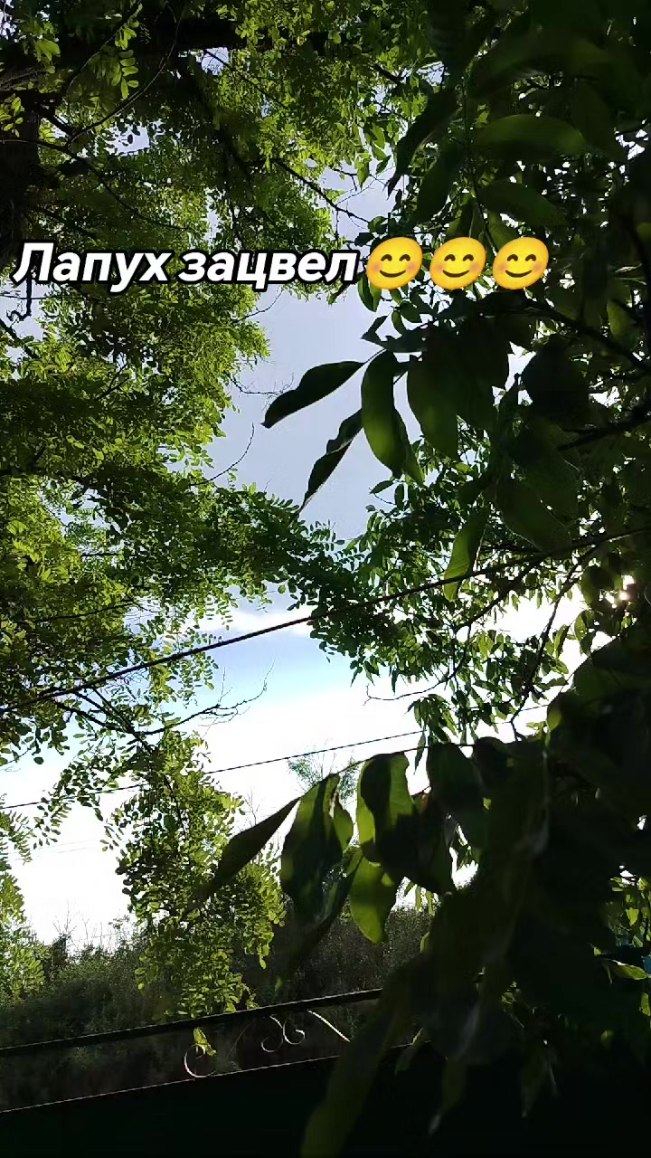 @lenakarneevih