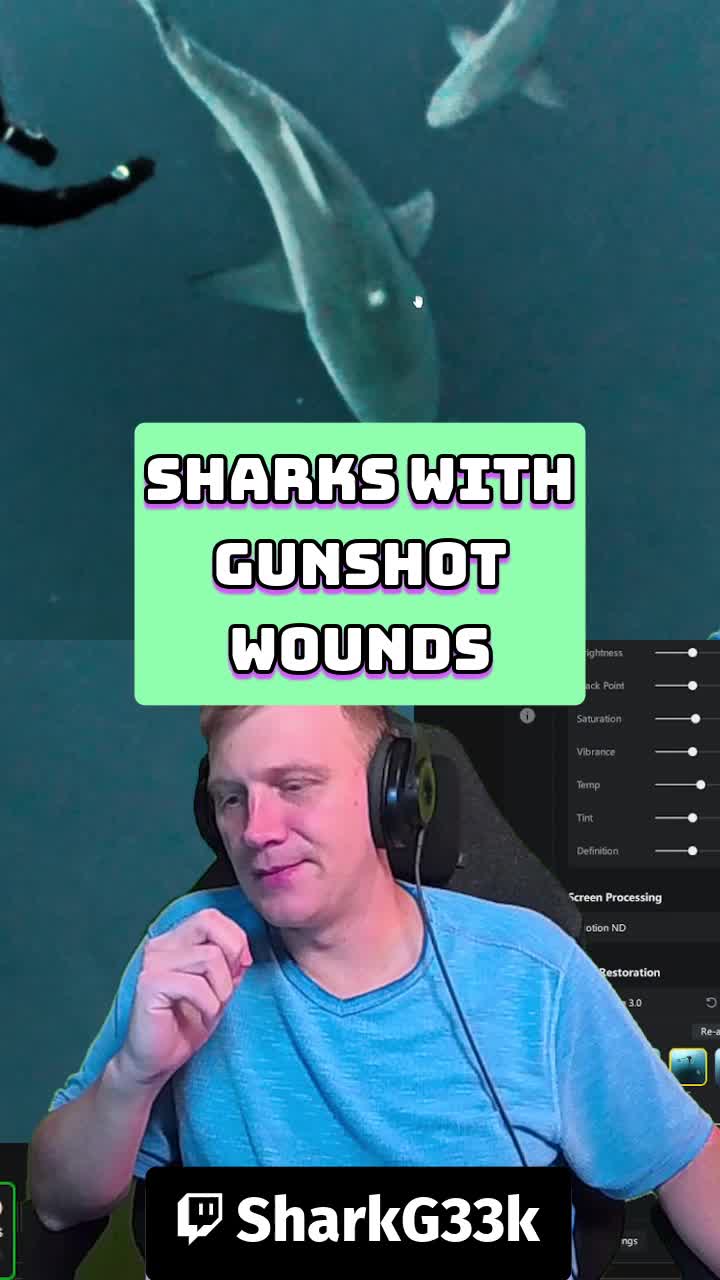 @Shark Geek