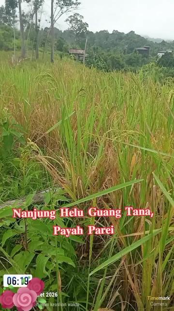 @๐ฎ๐ฉ ๐๐ซ๐ฆ๐ข๐ฅ๐ ๐๐๐โ