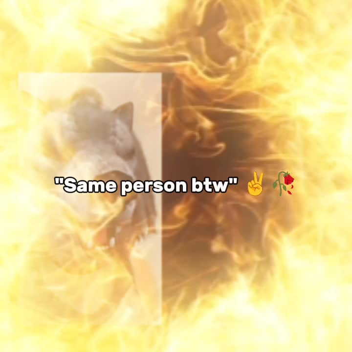 @爱•|𝐰𝐞𝓶𝓶в𝐲シ