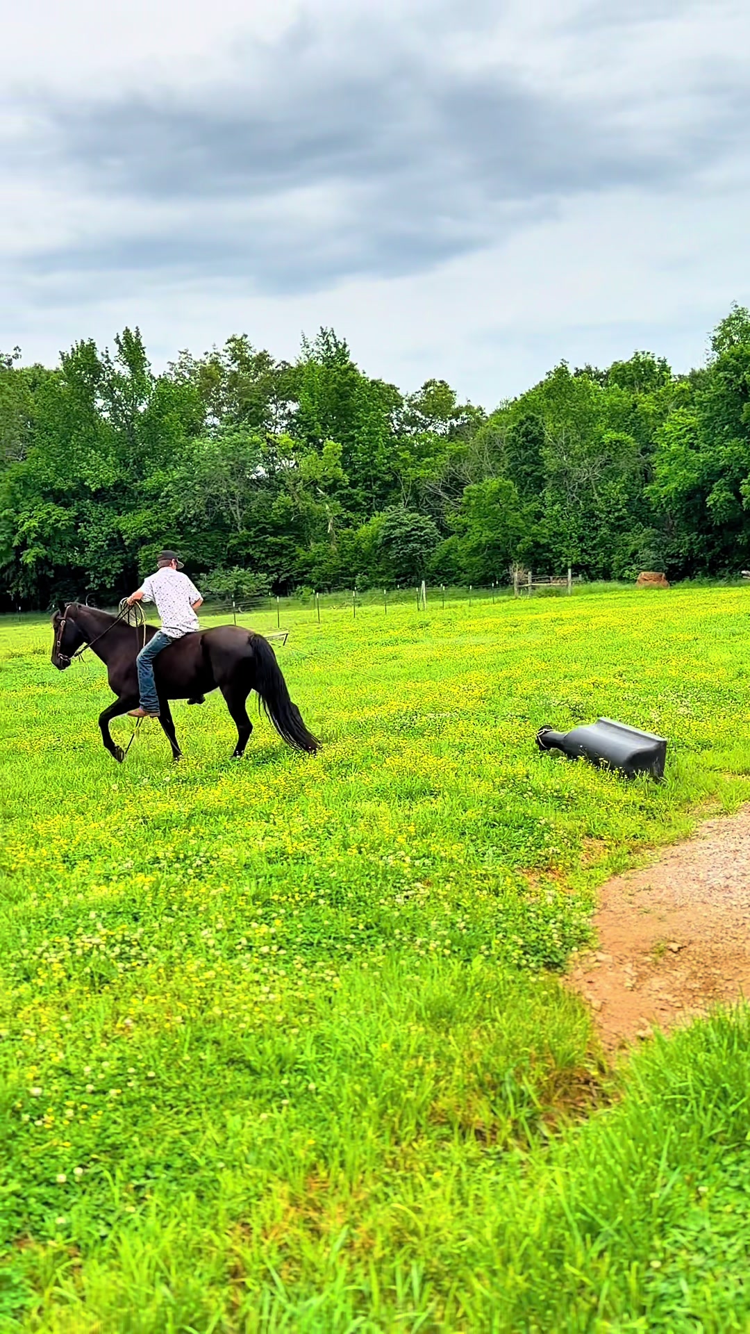 @Lucky D Ranch 🍀