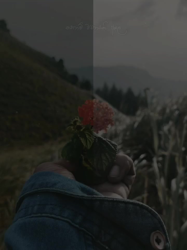 @ELeVeNzY