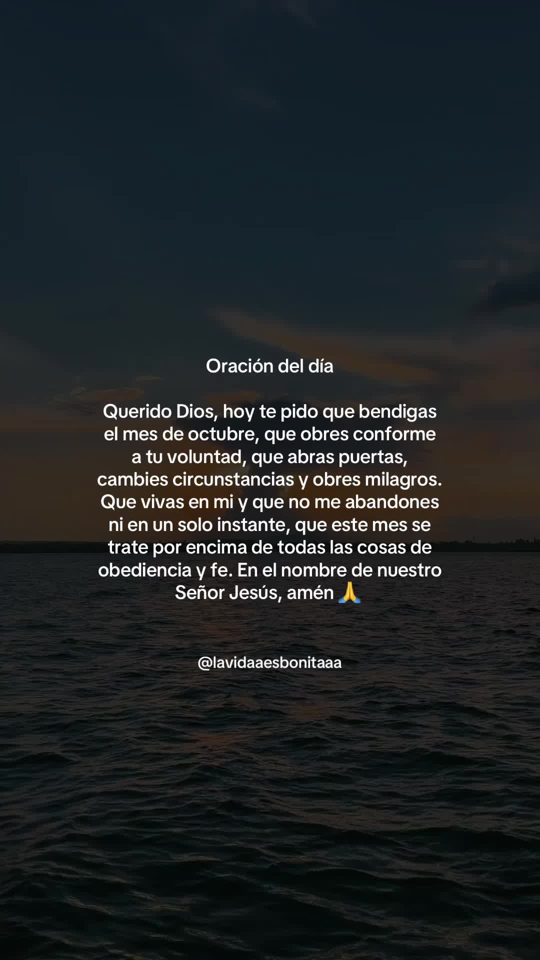 @vidabonita❤️&zwj;🩹