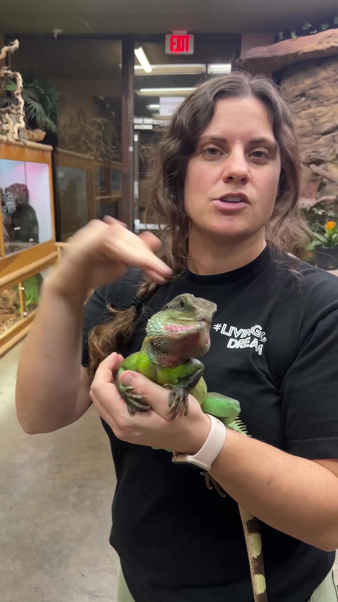 @The Reptile Zoo