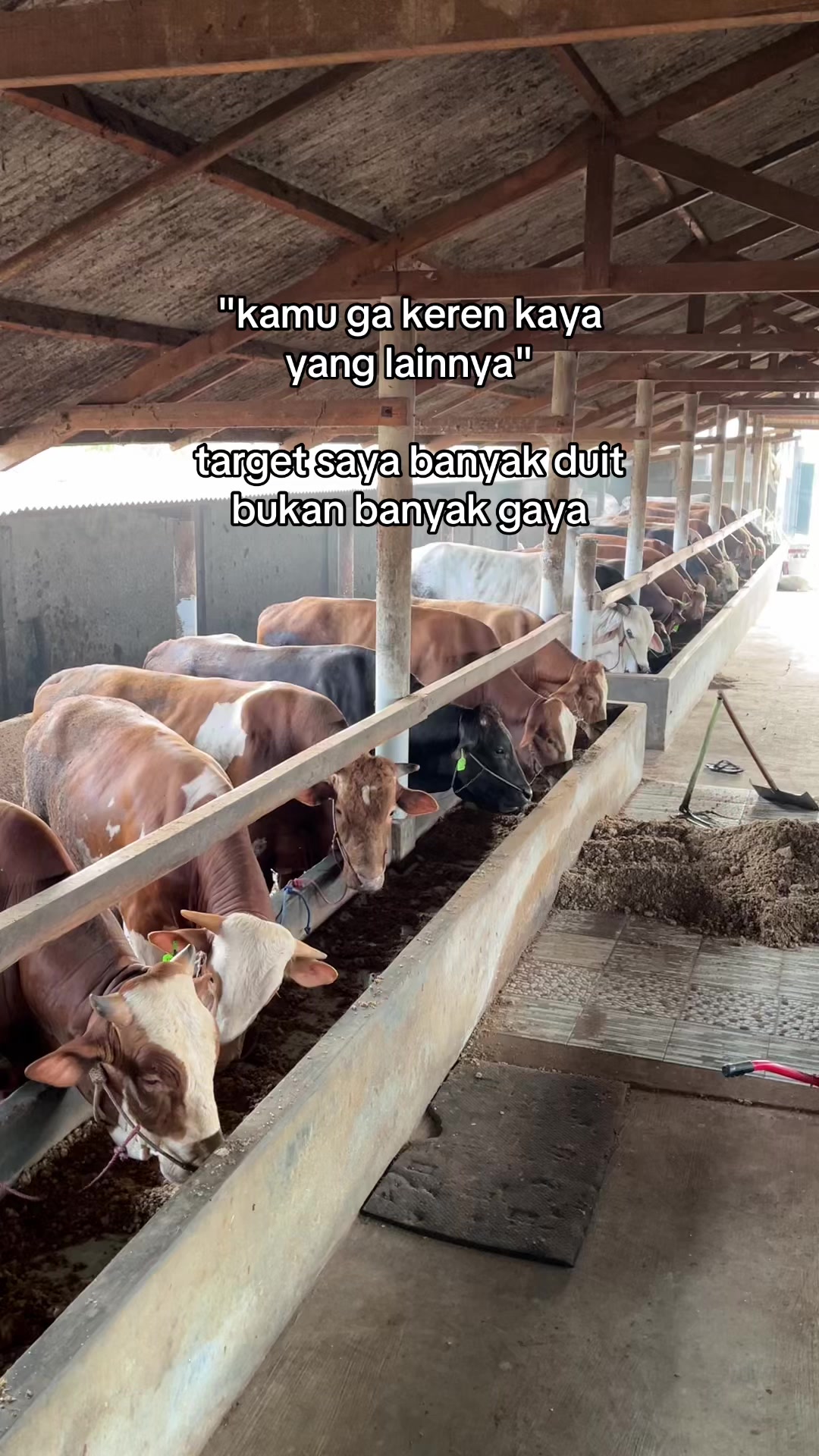 @Wisnu Farm Lampung