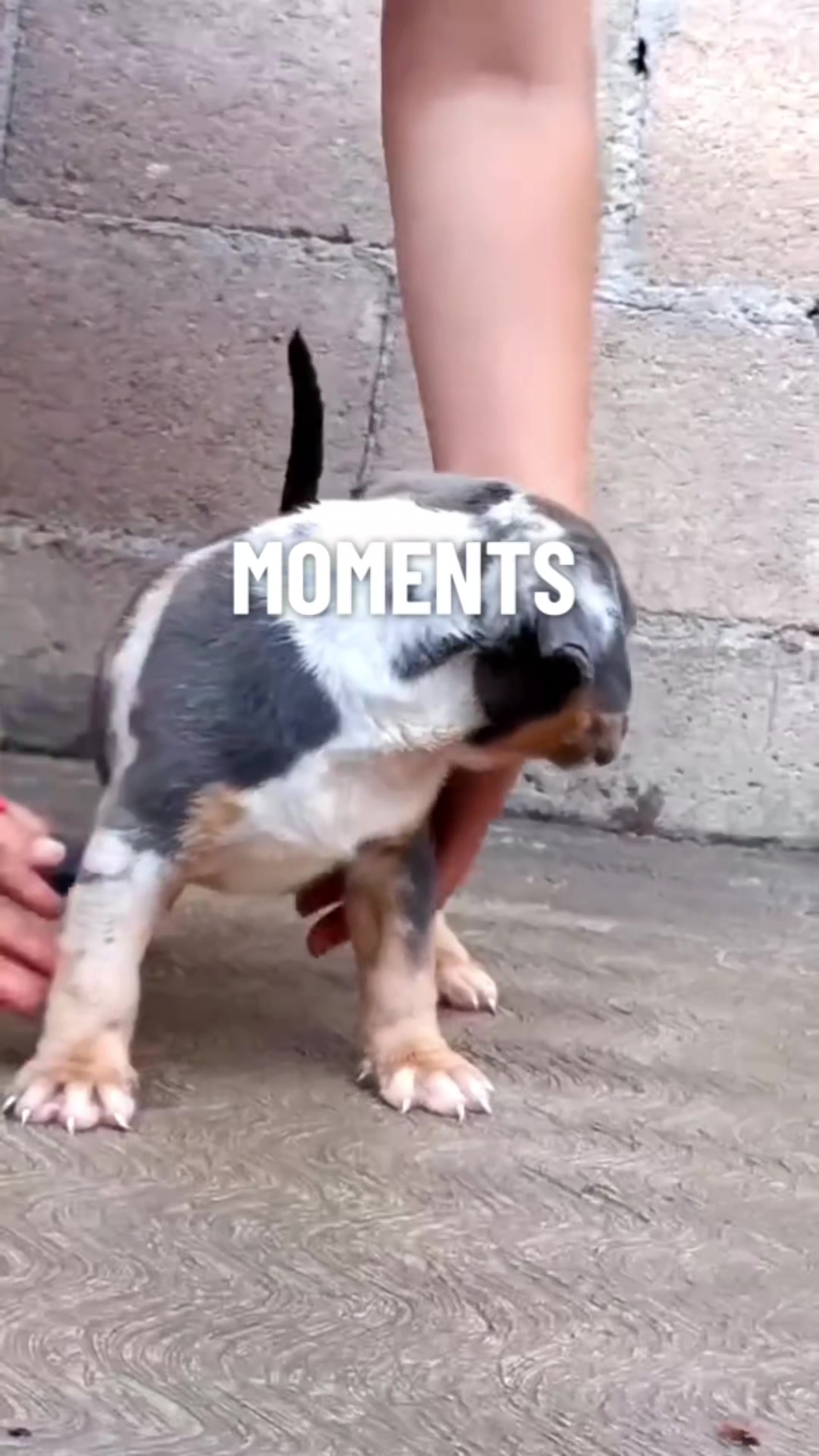 @𝕮𝕳𝕸𝖐'𝖇𝖚𝖑𝖑𝖎𝖊𝖘