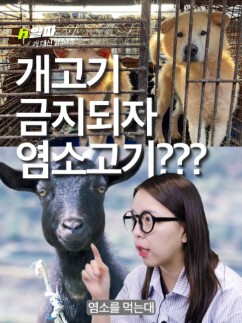 @휙알파 huick