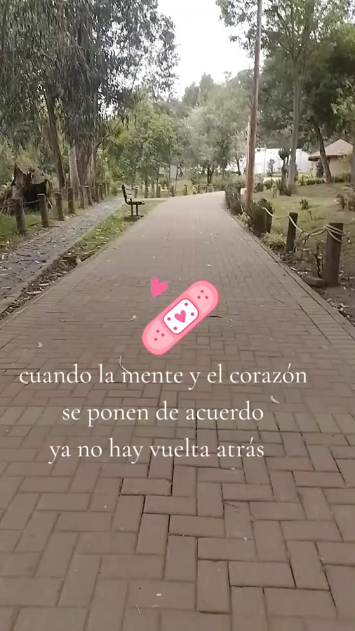 @Lucy Lu
