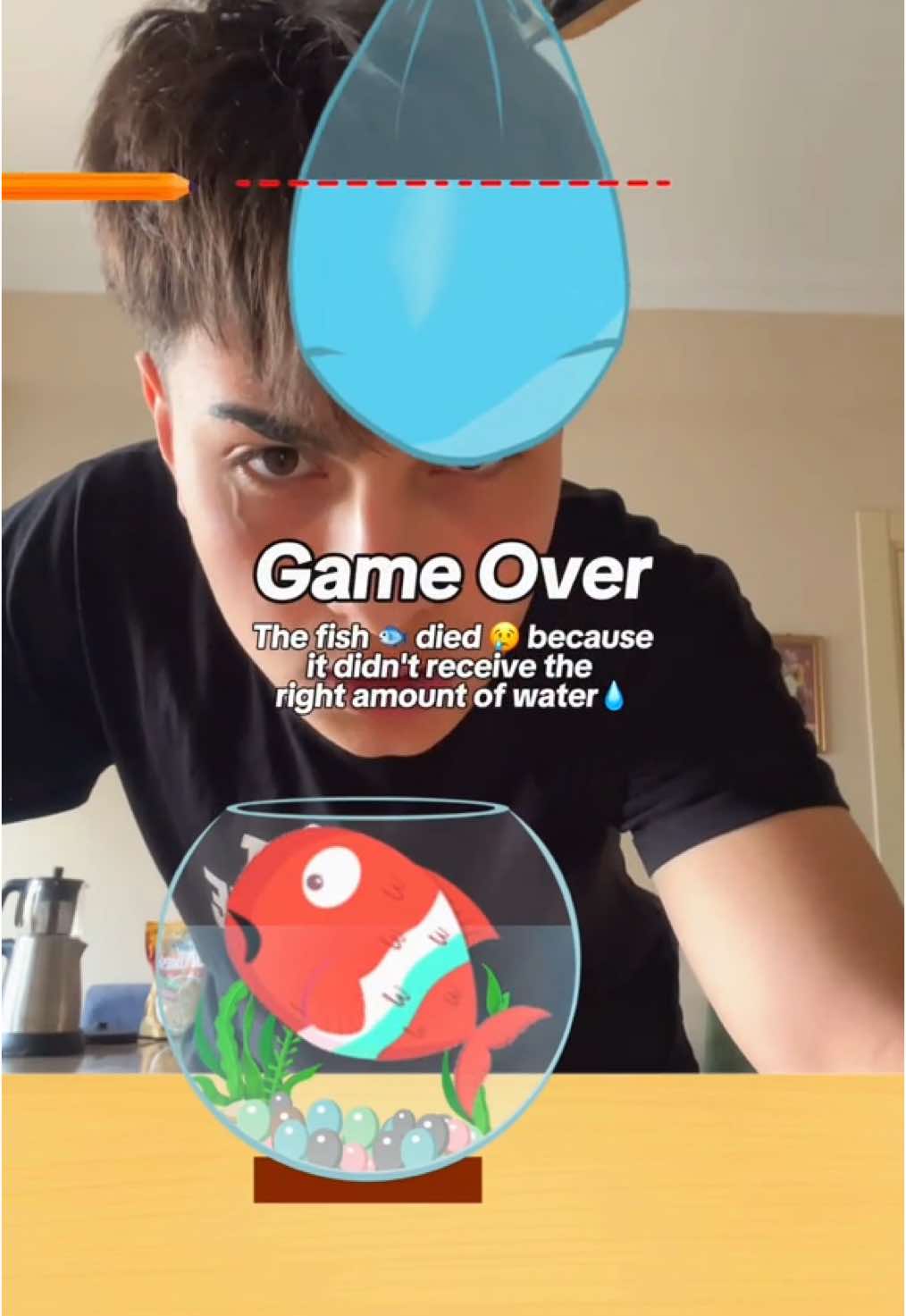 @Sosyoflex