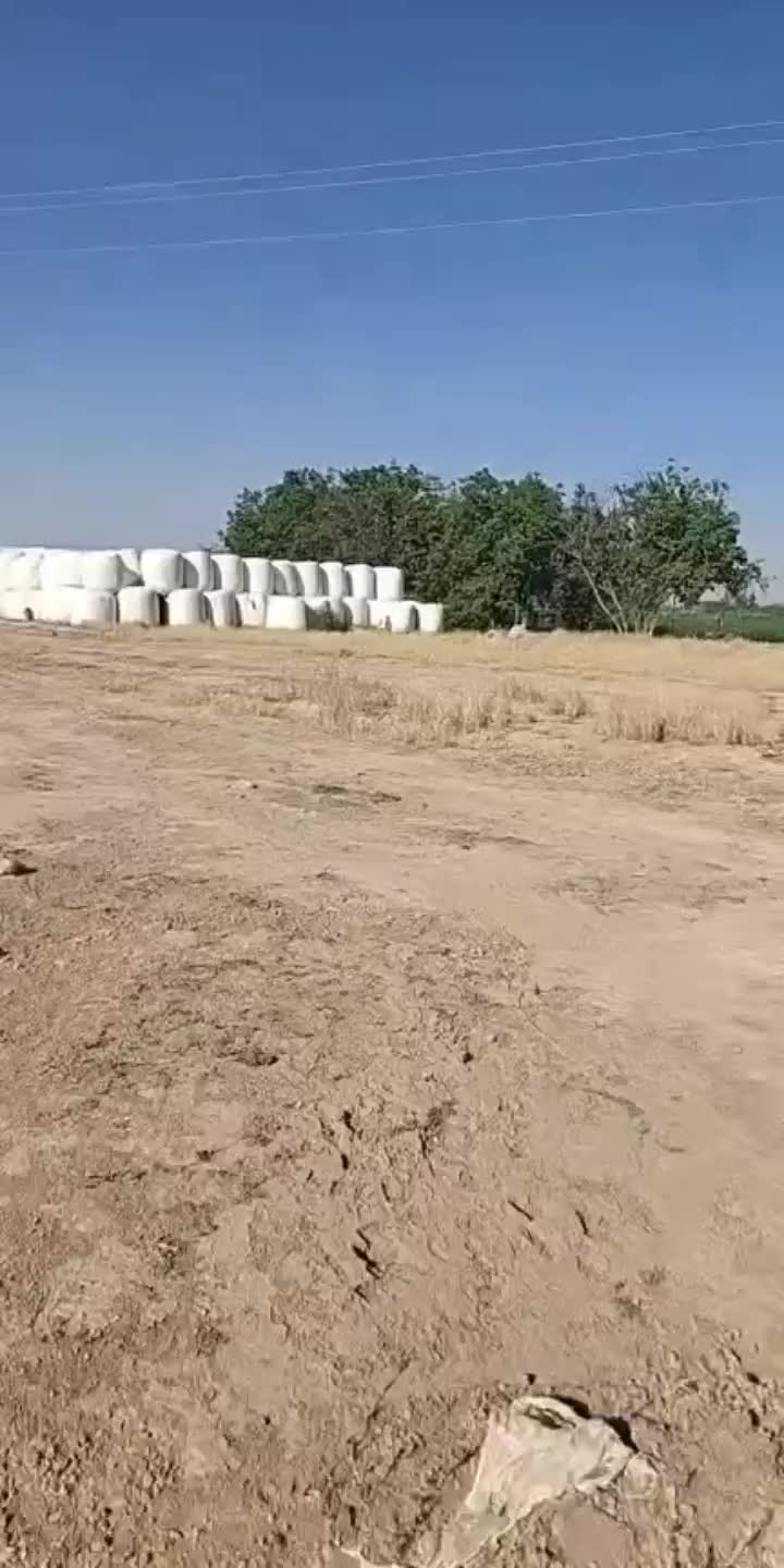 @الفلاحة في مسيلة