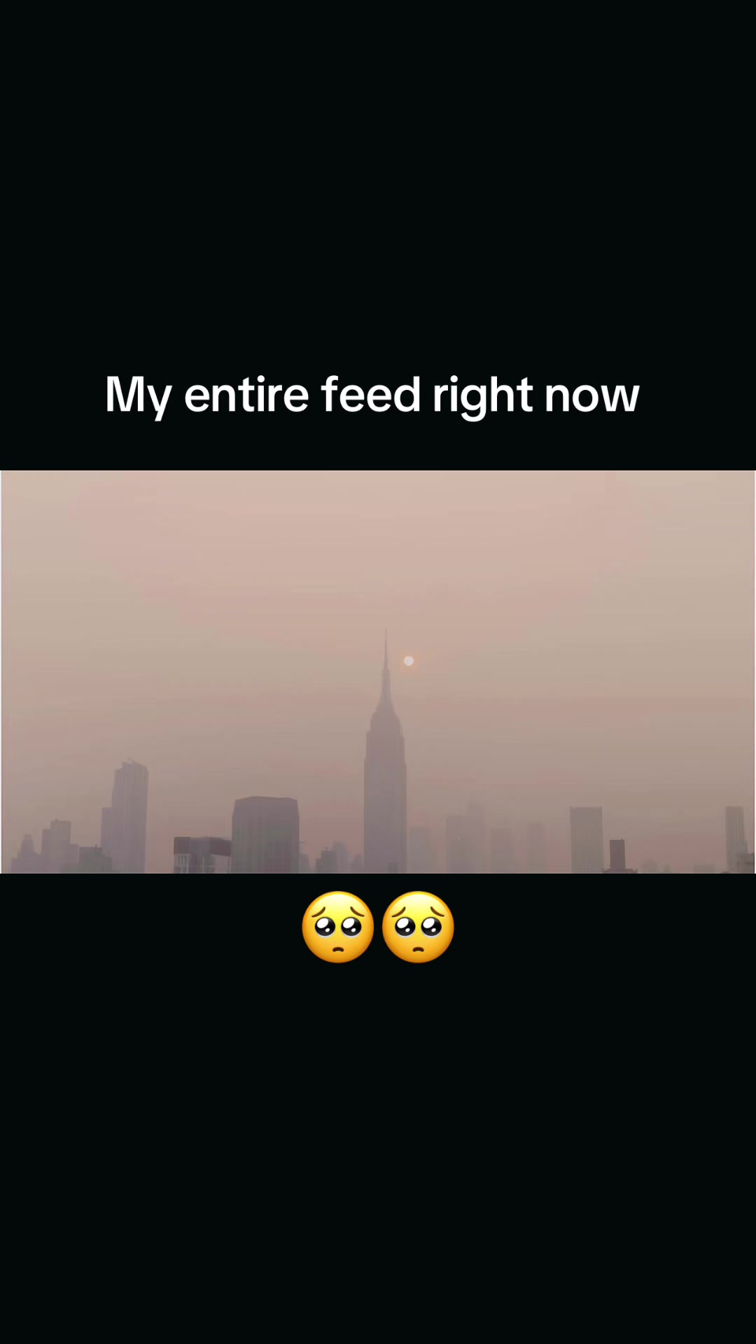 @VideoNinja