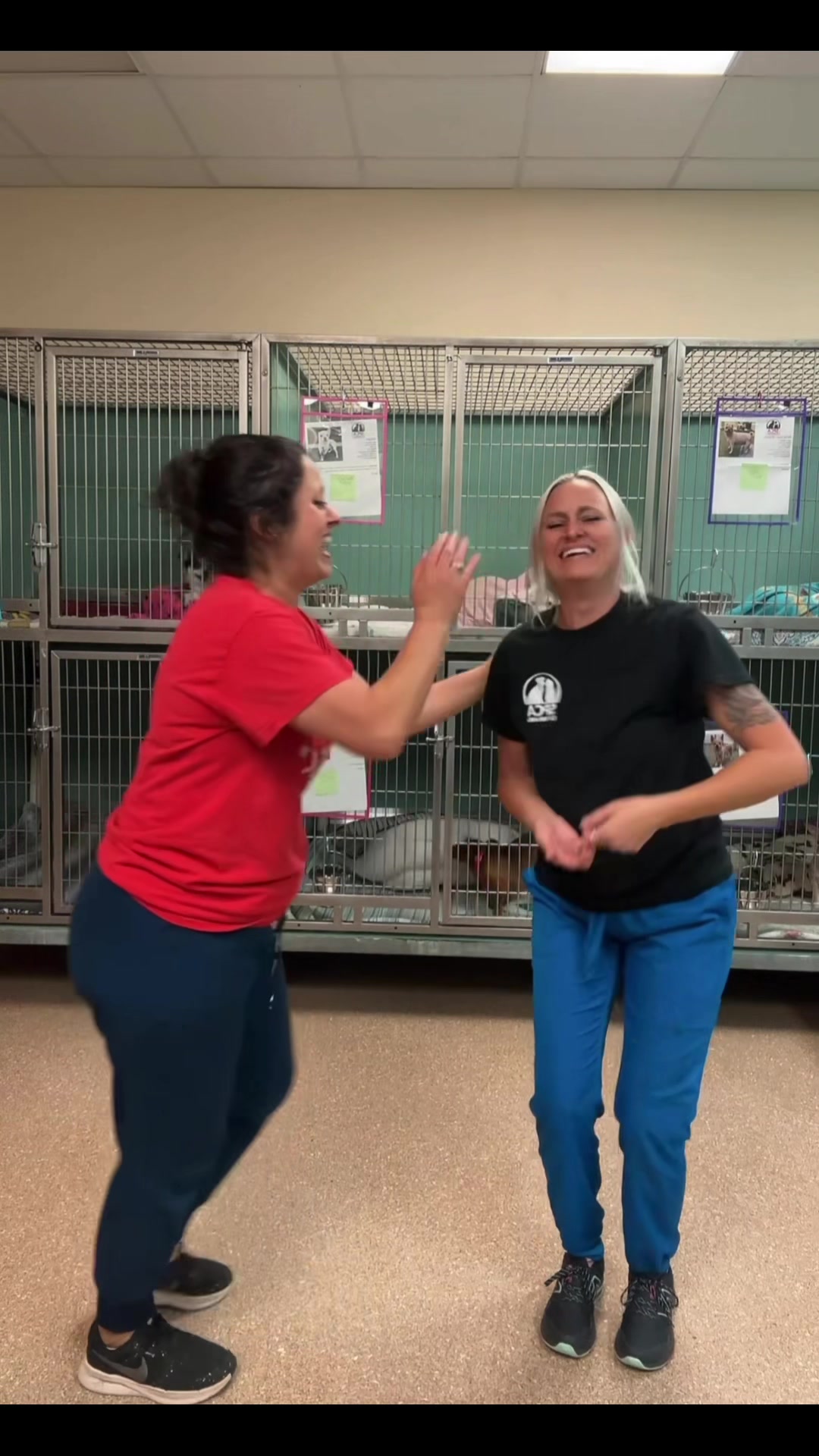 @2vettechs