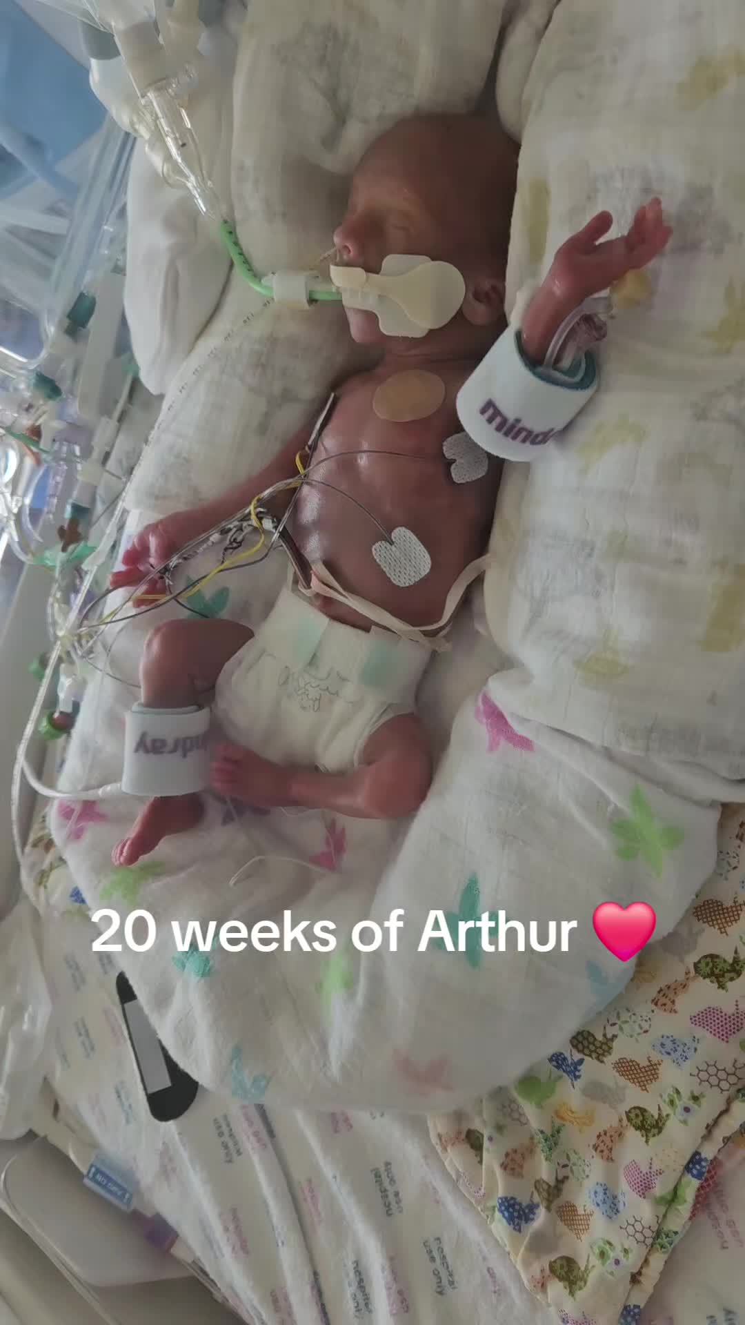 @LoveLilyandArthur