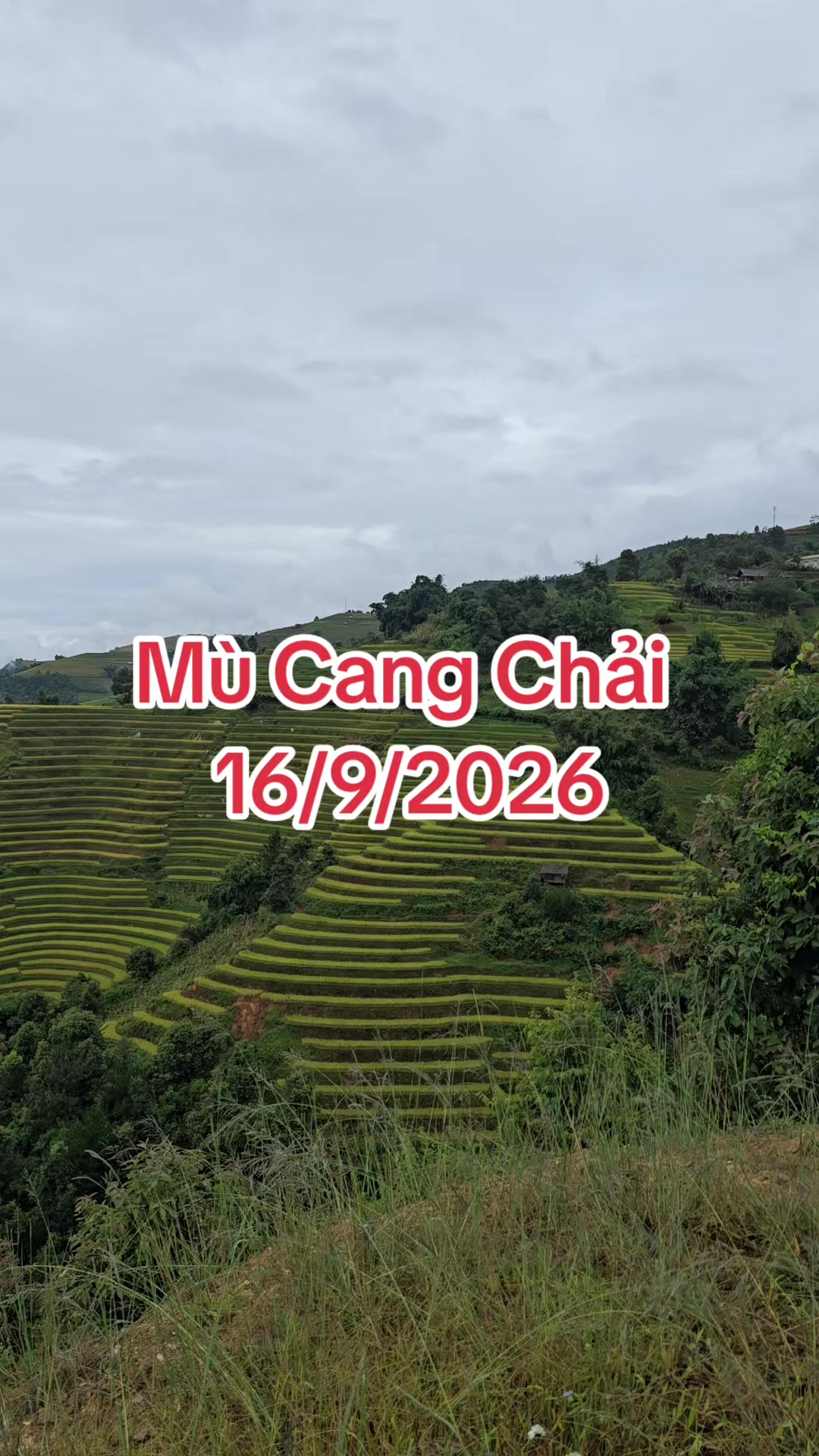 @Trai T&acirc;y Bắc 🔷️